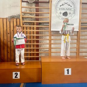 a6aa2a0d-5736-4708-b145-199df213819a